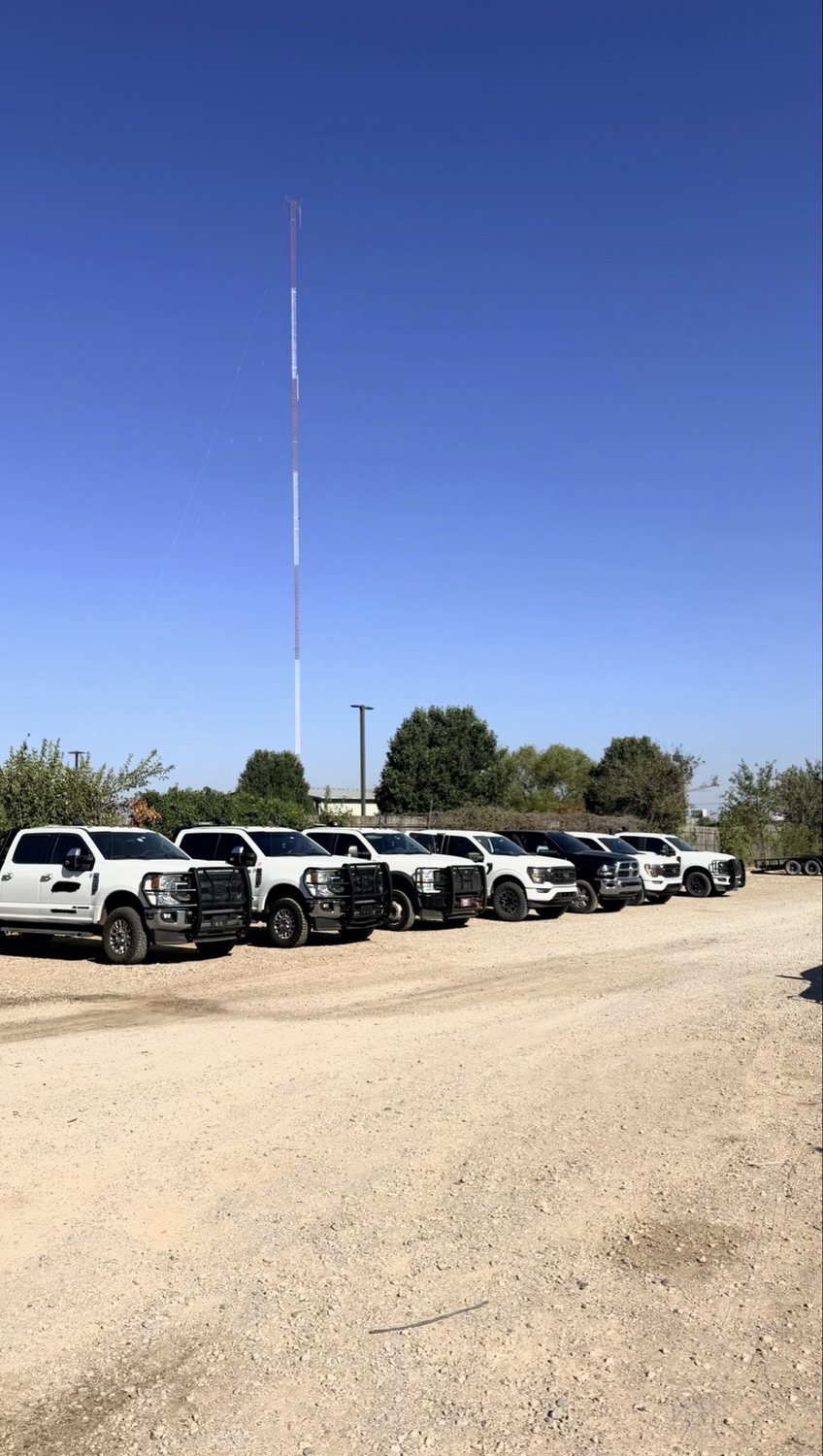 A row of fleet trucks, washed and lined up